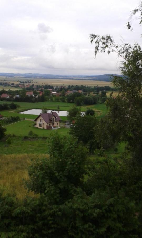 Dom Wypoczynkowy Pod Fortami Srebrna Góra Exteriör bild